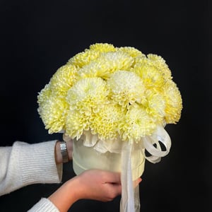 Хризантема кустовая в шляпной коробке