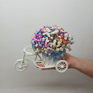 Композиция «Радужная гипсофила Велосипед»