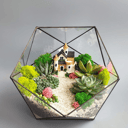 Флорариум уединение