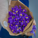 Букет из 25 синих ирисов