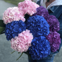 Букет из 9 гортензий