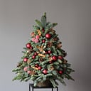 Новогодняя ёлка