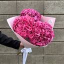 Монобукет из гортензий