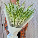 Букет «Белый Бархат»