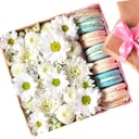 Подарочный набор «Ромашка» из хризантем