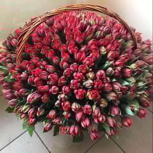 Корзина с цветами «8 марта» из тюльпанов
