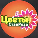 СтавРоза