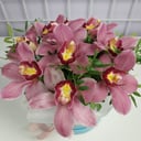 Шляпная коробка с цветами «Орхидея в коробке»