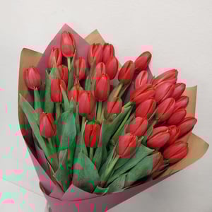 Букет «35 красных тюльпанов»