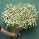 Букет «Нежные гипсофилы»