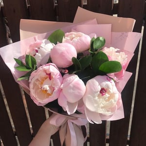 Букет из 7 розовых пионов