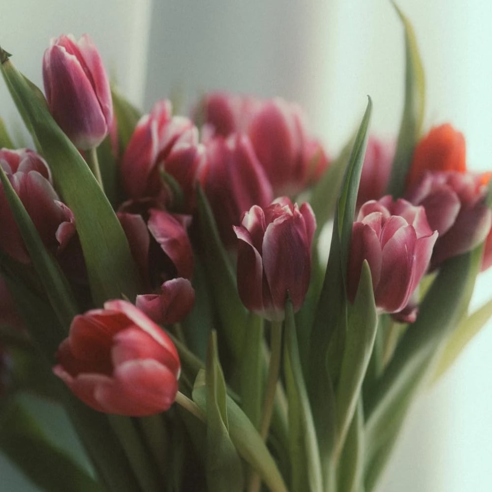 Bunter Frühlingsstrauß mit Tulpen