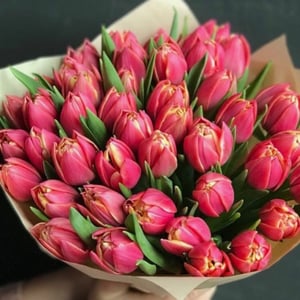 Букет тюльпанов 31 шт.