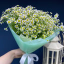 Букет «Ромашковое поле»