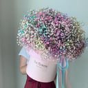 Шляпная коробка с цветами «Стойкая гипсофила размер maxi»