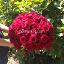 Тест загрузки картинок из роз