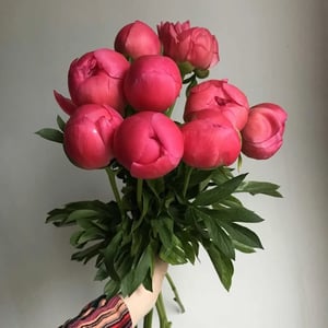 Букет «Пионы меняющие цвет 9 штук»