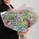 Букет из 9 разноцветных гипсофил