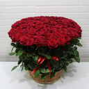 101 роза в корзине