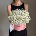 Шляпная коробка Микки