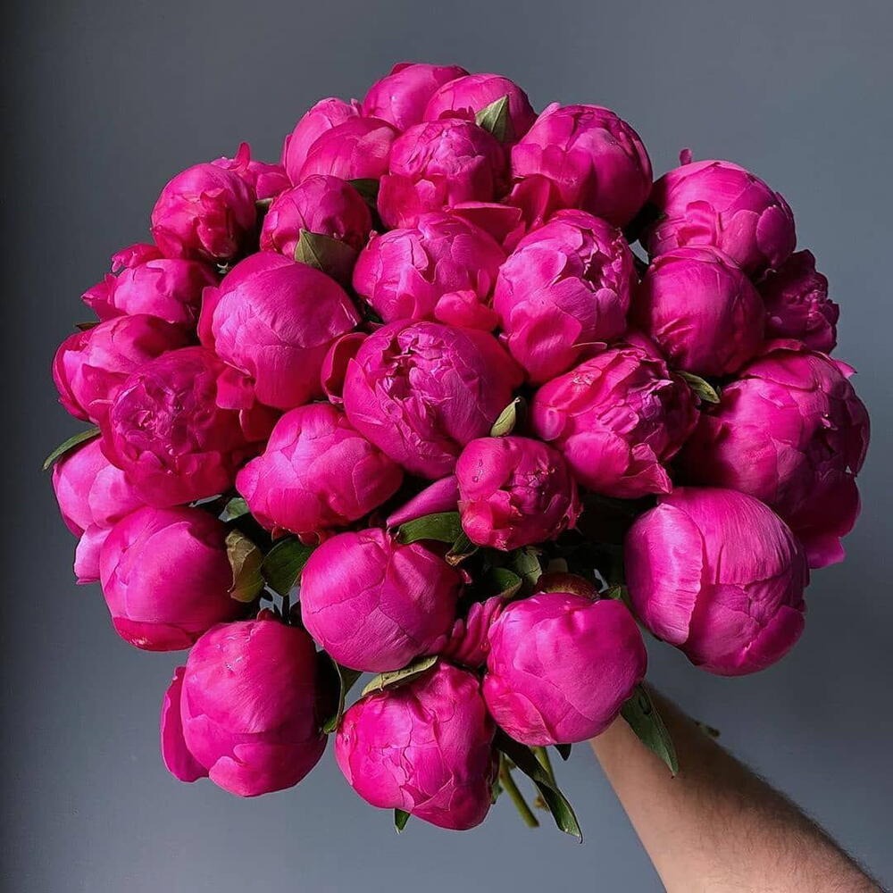 Букет из малиновых пионов