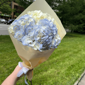 Букет из 3 голубых гортензий
