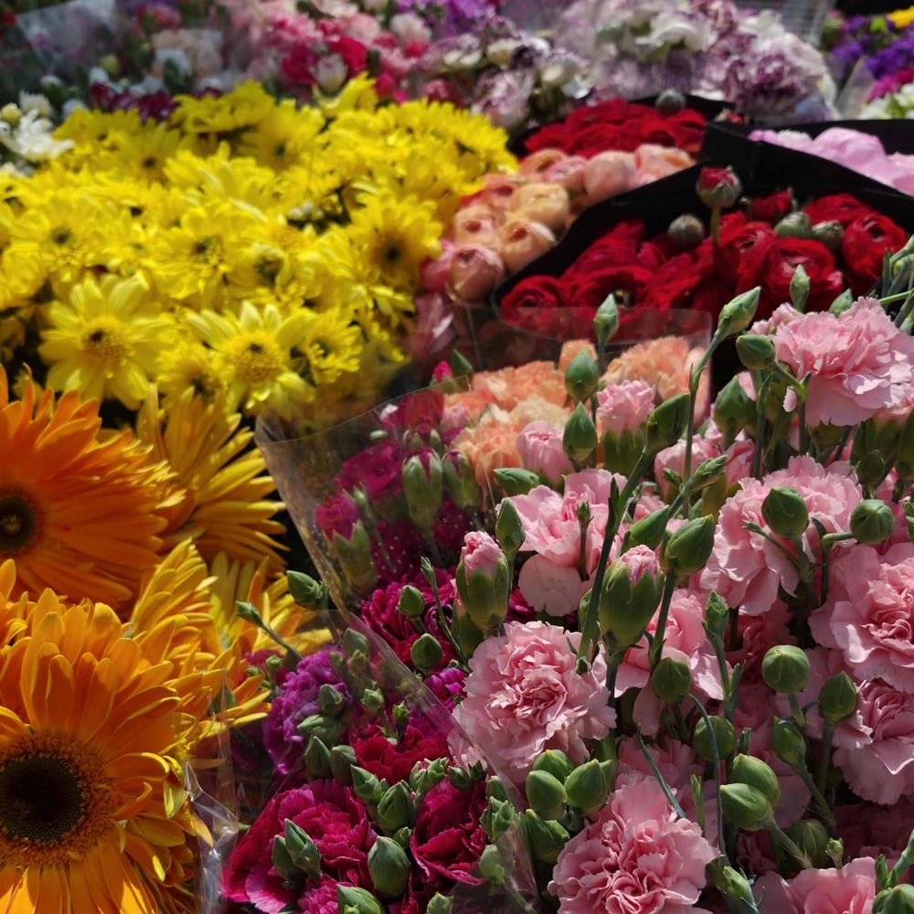 Entrega de flores en barrios de Sevilla