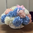 Гортензия в корзине