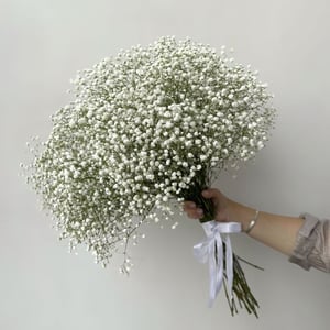 Букет цветов из 19 гипсофил
