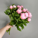 Букет «Пионы Салмон 13»