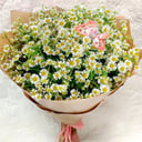 Букет из 15 танацетумов (ромашки)