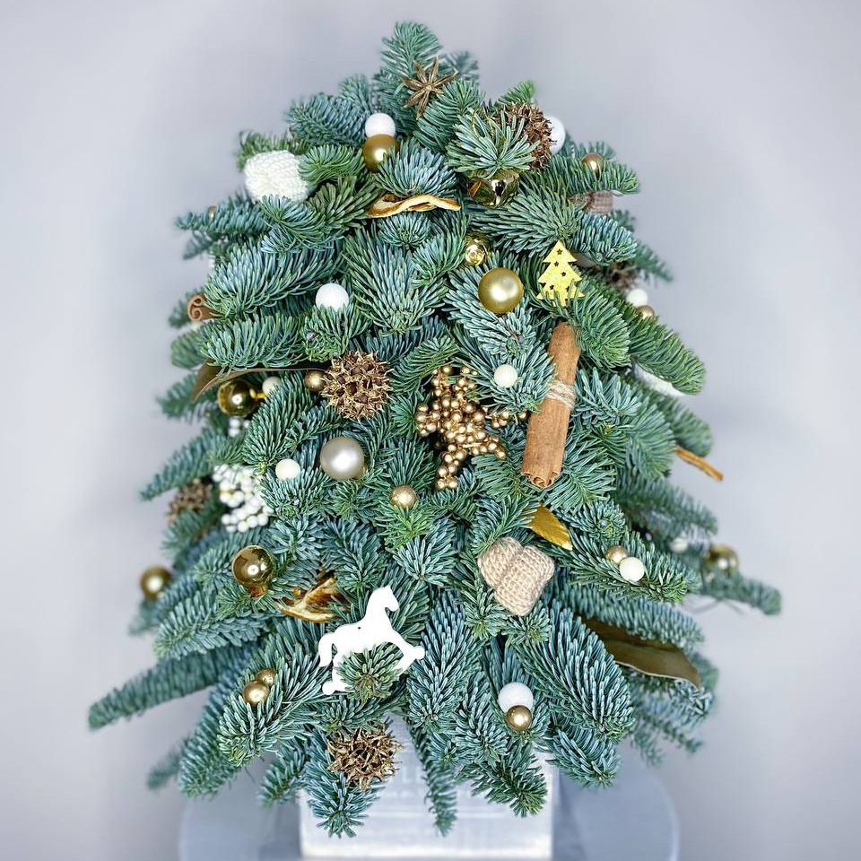 Композиция «Ёлка из нобилиса 30 см.»