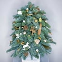 Композиция «Ёлка из нобилиса 30 см.»