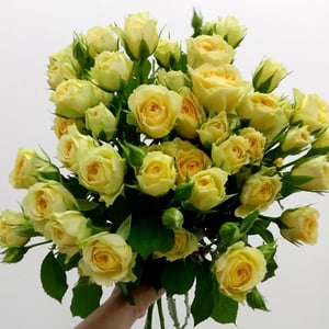 Букет из желтых кустовых роз 7 шт