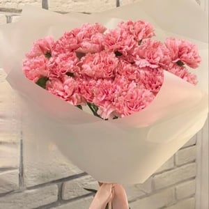 Букет из 19 розовых диантусов