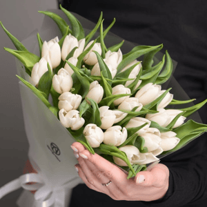 Букет «25 белых тюльпанов»