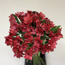 Букет «Снова привет» из альстромерий