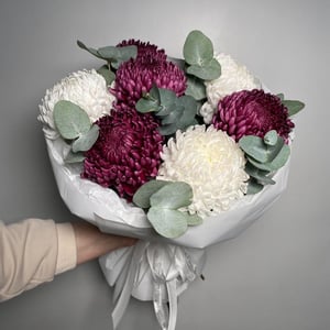 Букет белых и фиолетовых хризантем