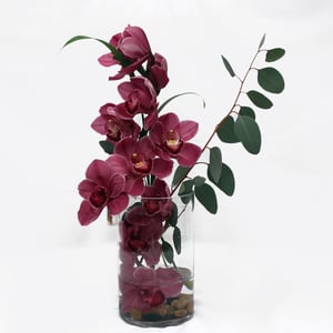 Композиция «Непревзойденная орхидея»