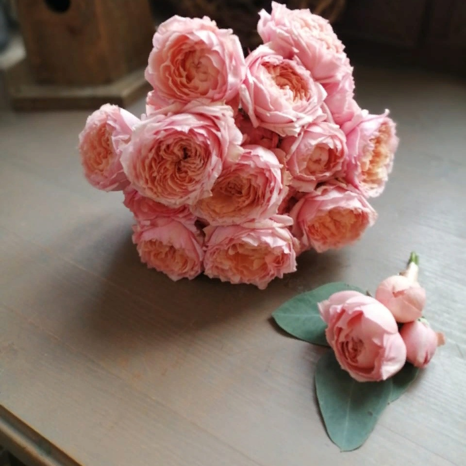 Розовая пушинка