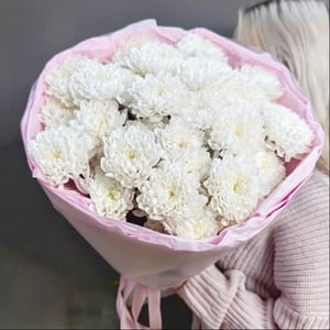 Букет из 7 хризантем Алтай, арт.3098