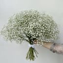 Гипсофилы букет из 35 цветов