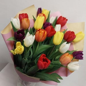 Букет «25 цветных тюльпанов»