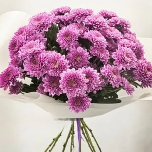 Букет из 11 сиреневых кустовых хризантем