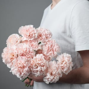 Монобукет из 11 диантусов из гвоздик