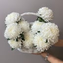 Букет «Корзина с белыми хризантемами 17 шт»