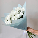 Букет из 5 кустовых хризантем