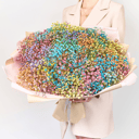 Букет из 25 радужных гипсофил