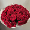 Моно Букет из 51 Роз в Пленке
