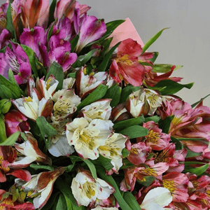 Яркий букет из стойких альстромерий